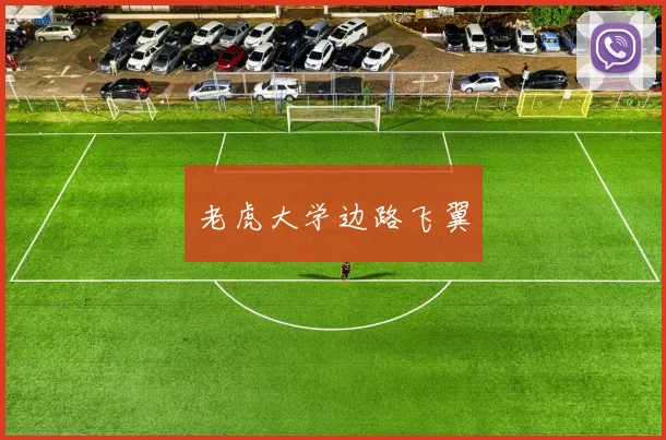 老虎大学边路飞翼