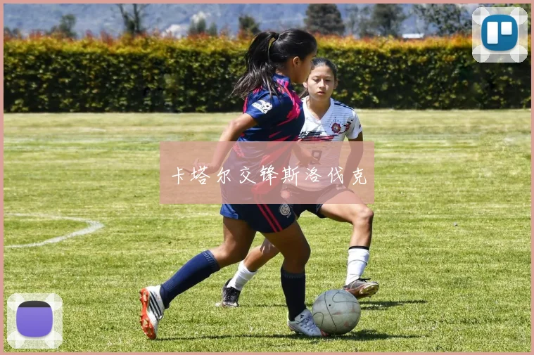 卡塔尔交锋斯洛伐克