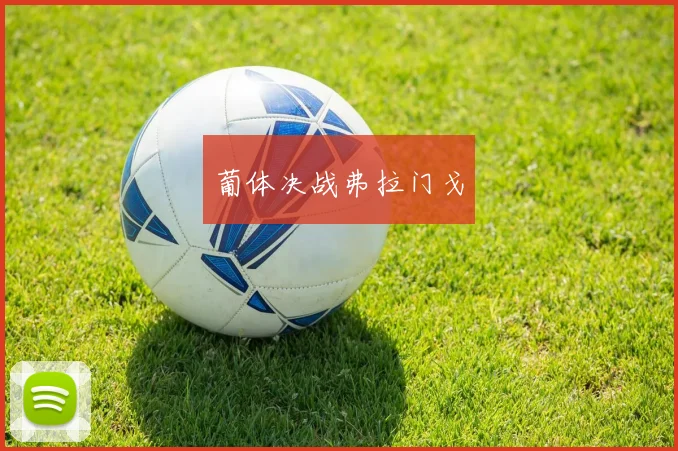 葡体决战弗拉门戈