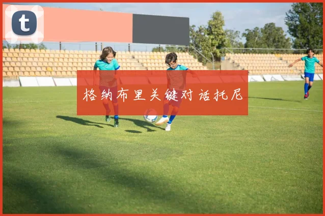格纳布里关键对话托尼