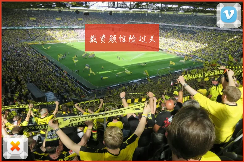 戴资颖惊险过关