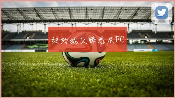 纽约城交锋悉尼FC