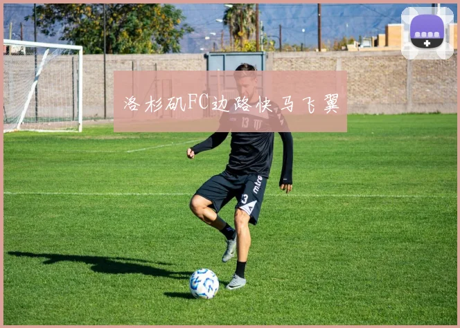洛杉矶FC边路快马飞翼