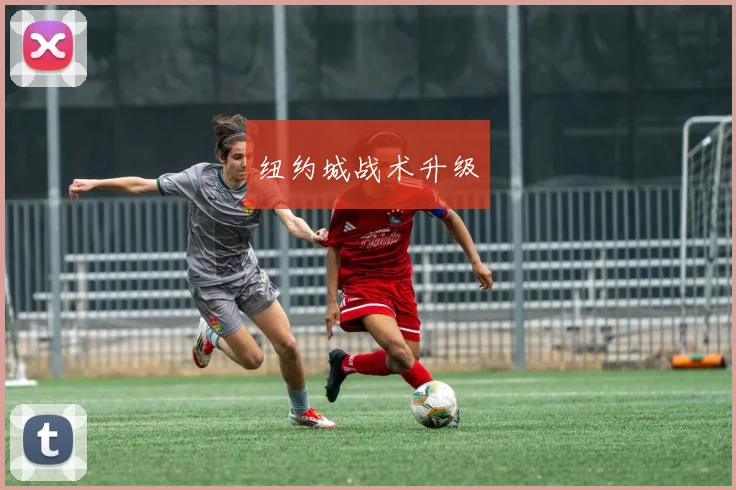 纽约城战术升级