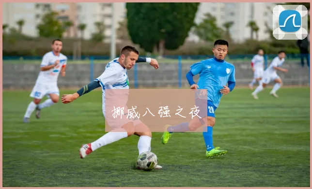 挪威八强之夜