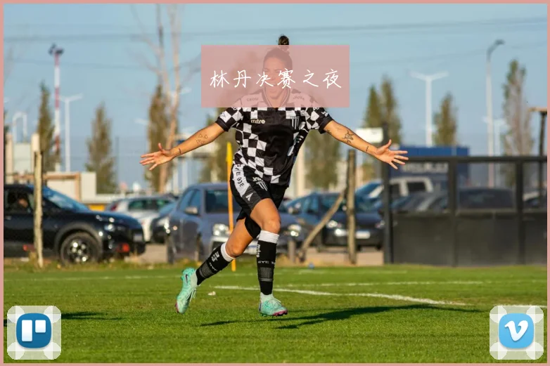 林丹决赛之夜