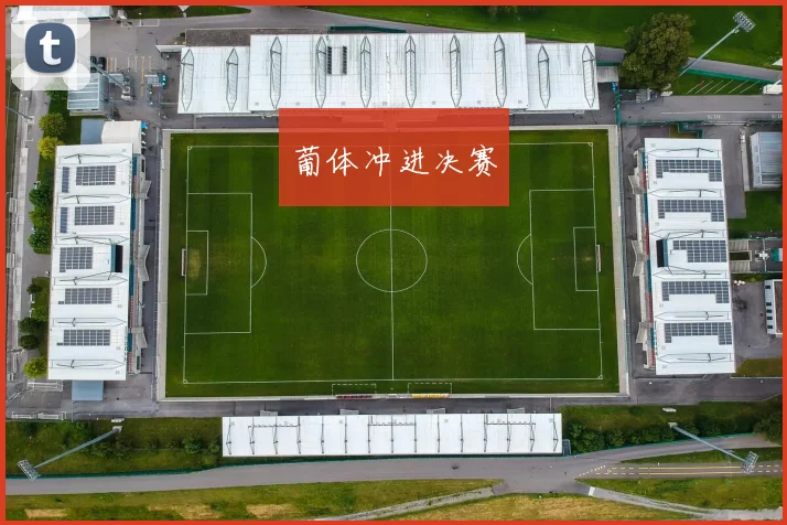 葡体冲进决赛