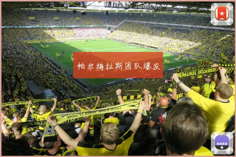 帕尔梅拉斯团队爆发