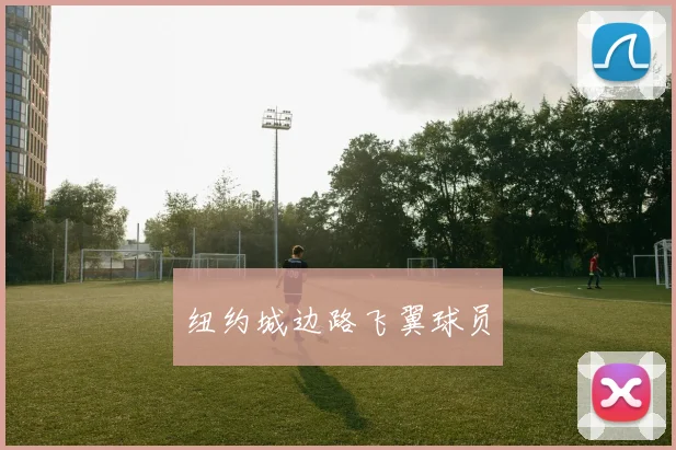 纽约城边路飞翼球员