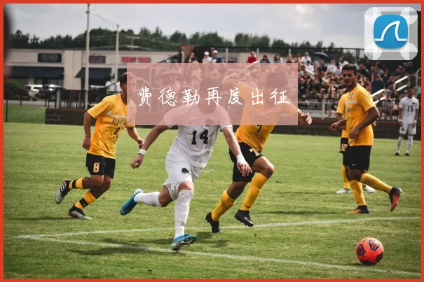 费德勒再度出征