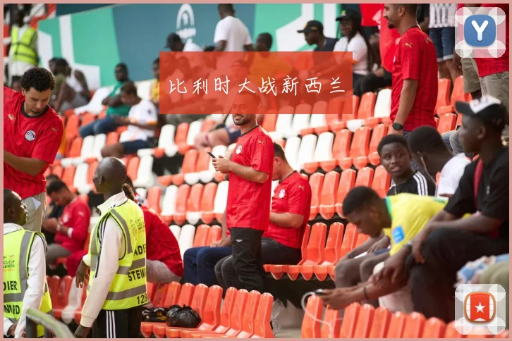比利时大战新西兰