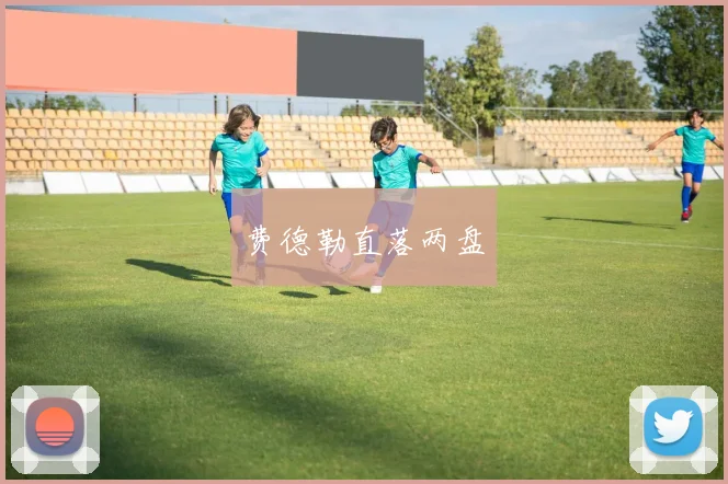 费德勒直落两盘