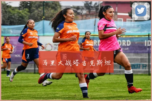 马里大战塔吉克斯坦