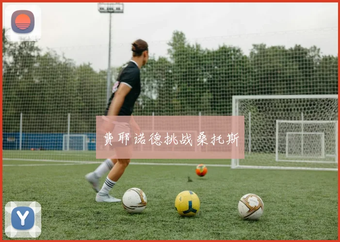 费耶诺德挑战桑托斯