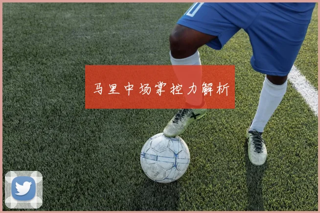 马里中场掌控力解析
