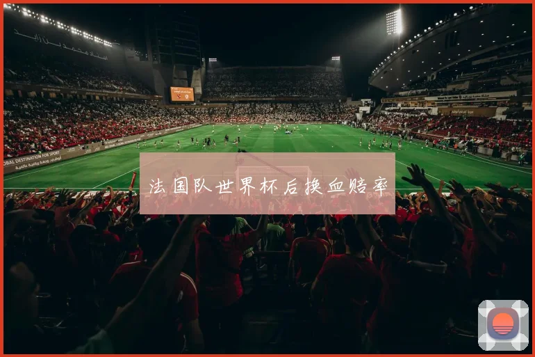 法国队世界杯后换血赔率