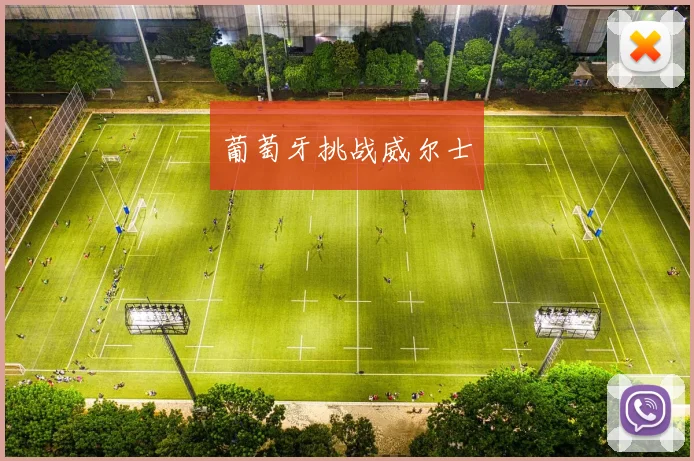 葡萄牙挑战威尔士