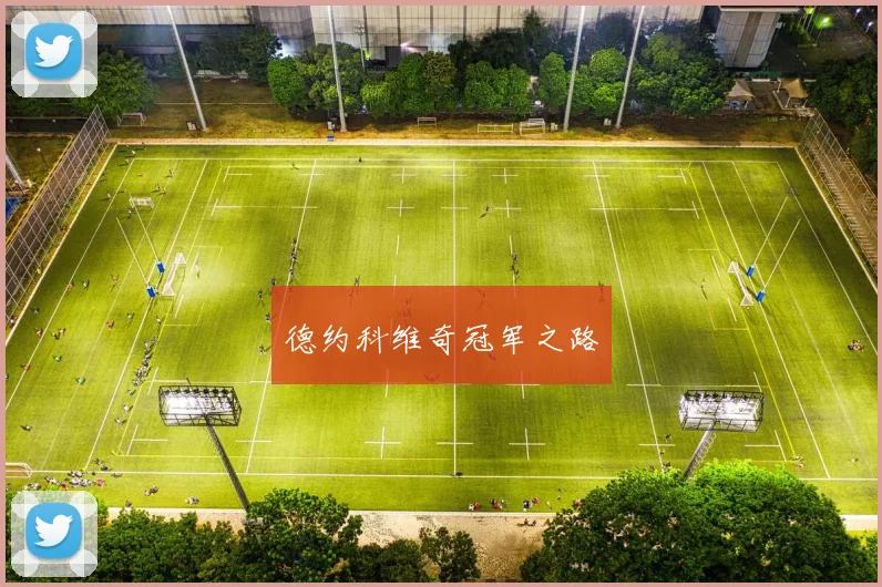 德约科维奇冠军之路