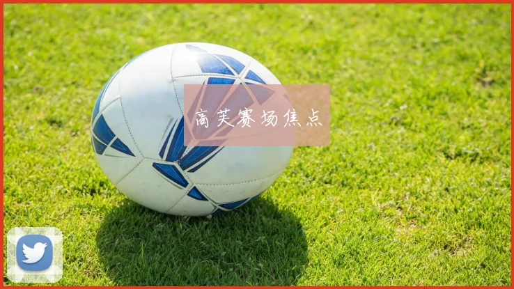 高芙赛场焦点
