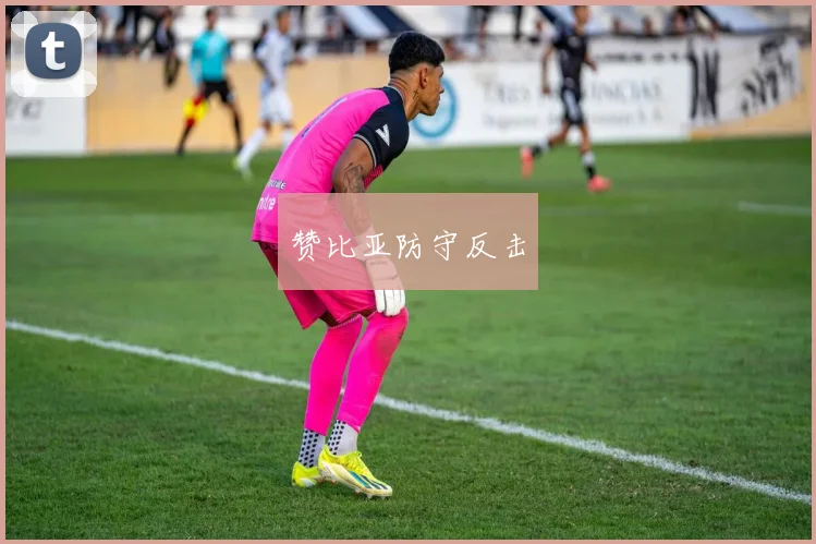 赞比亚防守反击
