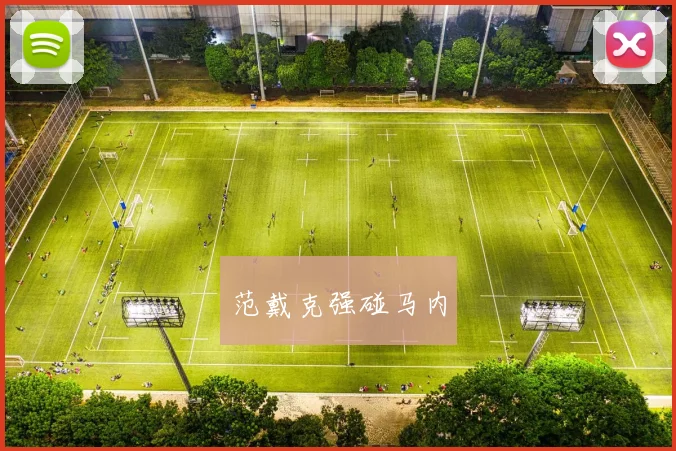 范戴克强碰马内