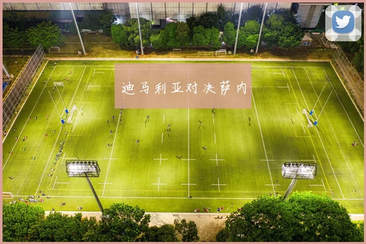 迪马利亚对决萨内