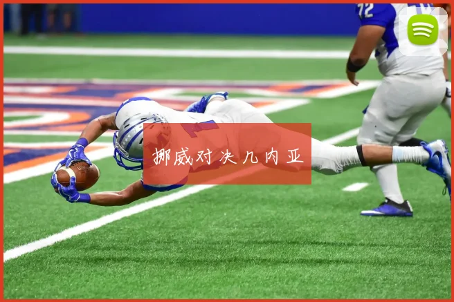 挪威对决几内亚