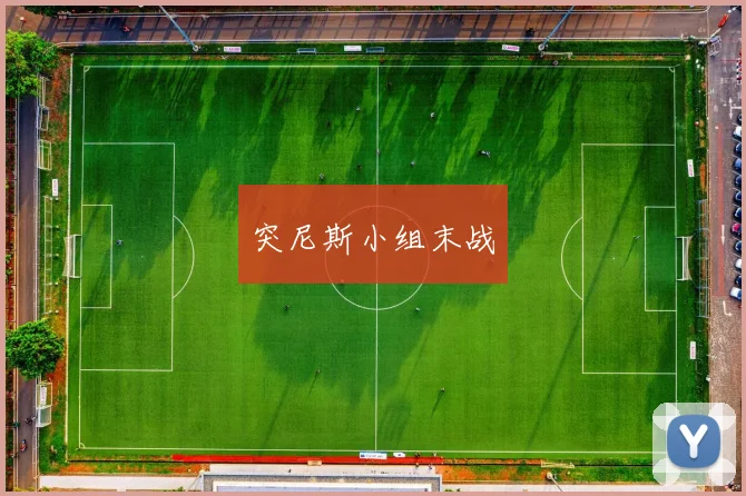 突尼斯小组末战