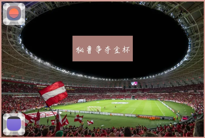 秘鲁争夺金杯