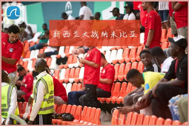 新西兰大战纳米比亚