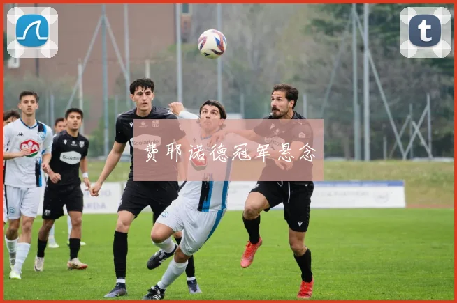费耶诺德冠军悬念