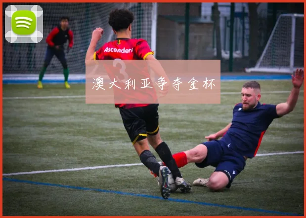 澳大利亚争夺金杯