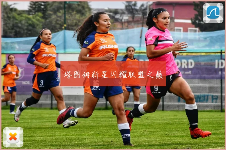 塔图姆新星闪耀联盟之巅