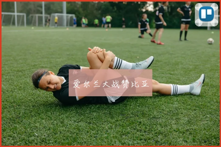 爱尔兰大战赞比亚