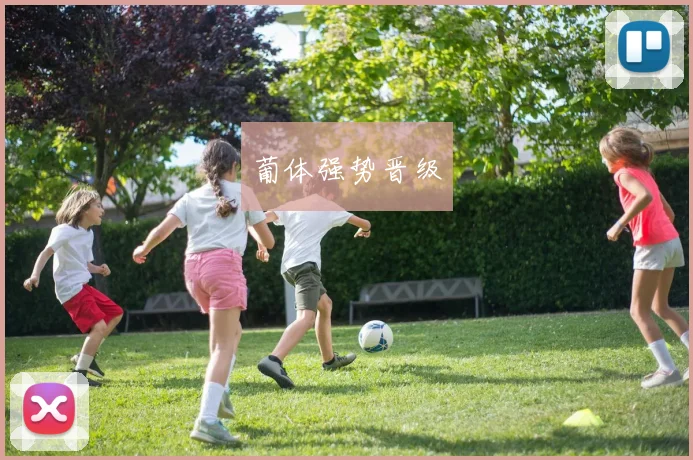 葡体强势晋级