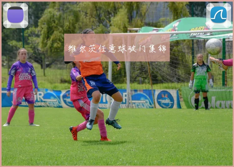 维尔茨任意球破门集锦