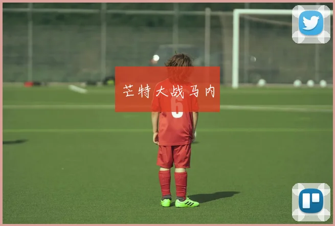 芒特大战马内