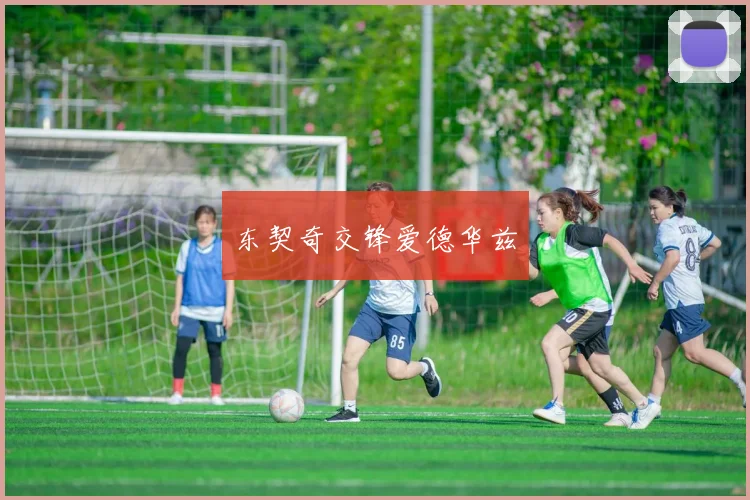 东契奇交锋爱德华兹