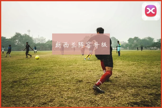 新西兰阵容升级