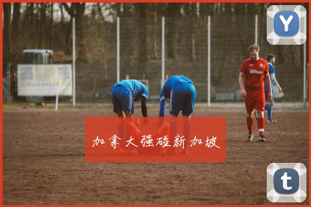 加拿大强碰新加坡