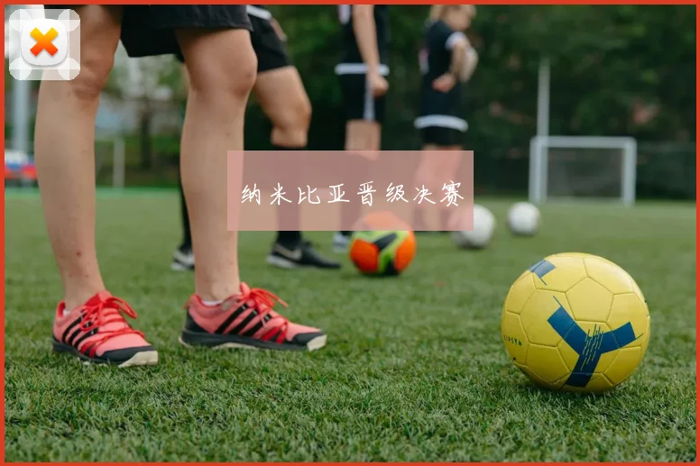 纳米比亚晋级决赛