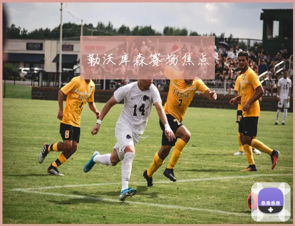 勒沃库森赛场焦点