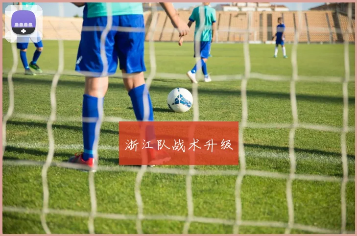 浙江队战术升级