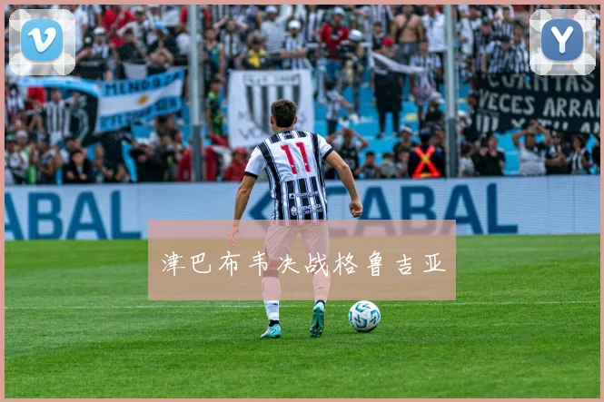 津巴布韦决战格鲁吉亚