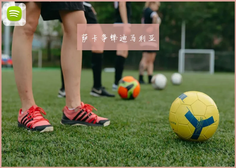 萨卡争锋迪马利亚