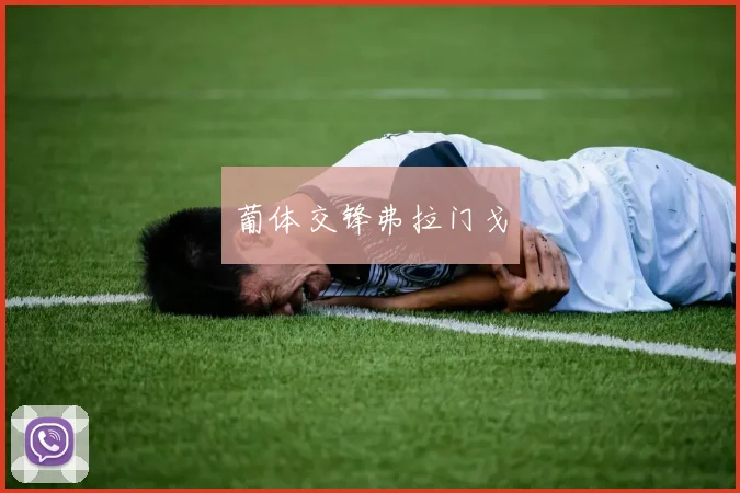 葡体交锋弗拉门戈