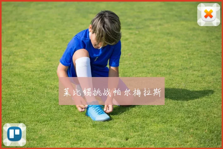 莱比锡挑战帕尔梅拉斯