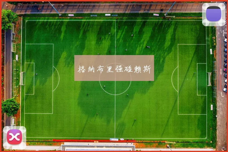 格纳布里强碰赖斯