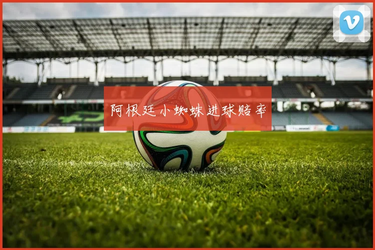 阿根廷小蜘蛛进球赔率