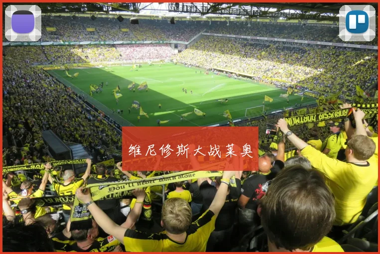 维尼修斯大战莱奥